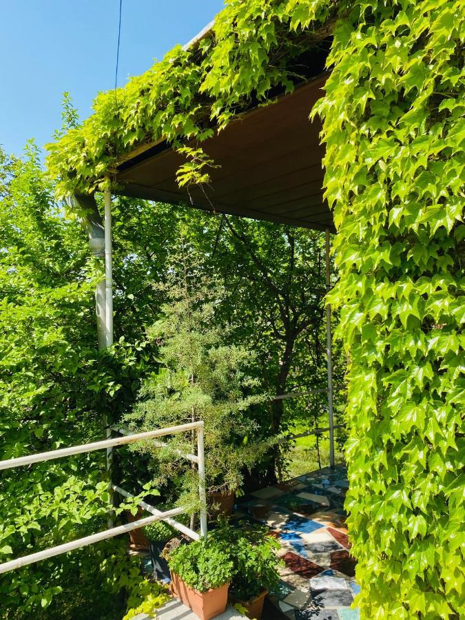 Green House Otel Lagodehi Dış mekan fotoğraf