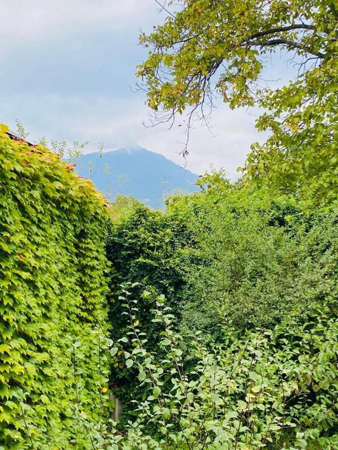 Green House Otel Lagodehi Dış mekan fotoğraf